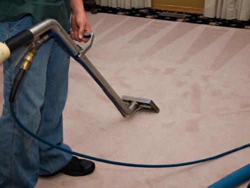 Eco Steam Green Carpet Cleaning, Rug Doctor In Baton Rouge